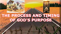 Why is 'The process and timing of God's purpose' important?